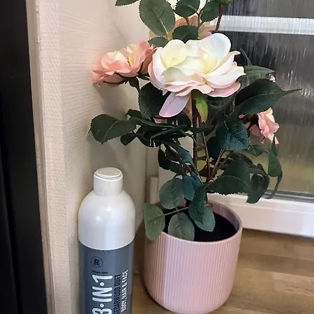 לינה וארוחת בוקר Baekkely